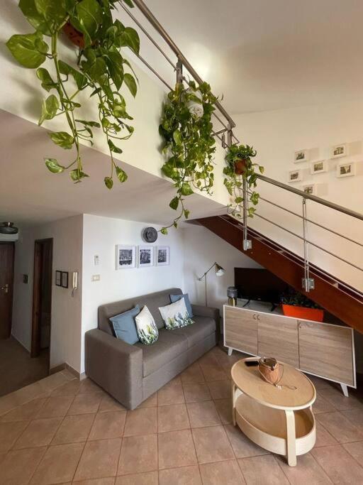 Magabu' - Swimming Pool And Free Parking Apartment Cefalu Exterior photo